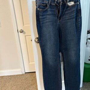 Judy Blue Straight Leg Blue Jeans Classic Fit